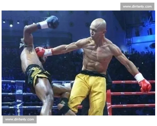 一龙参加比赛的费用是多少 详细解析背后的合同与收入模式