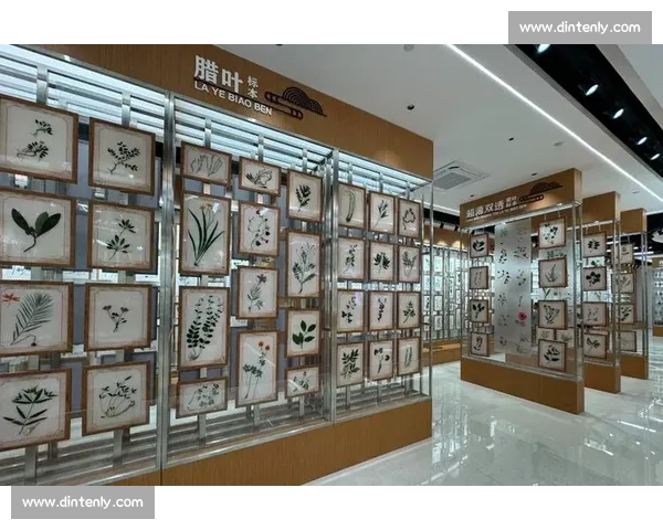 中药标本创新展示与传统药材文化传承竞赛方案