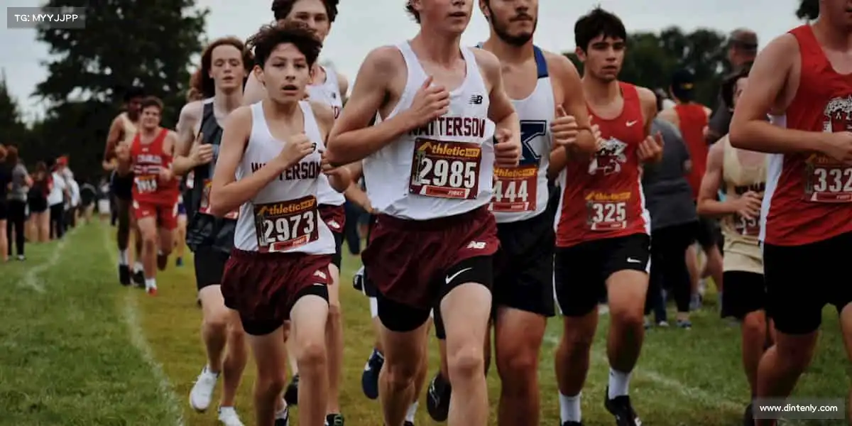 我们的核心竞争力